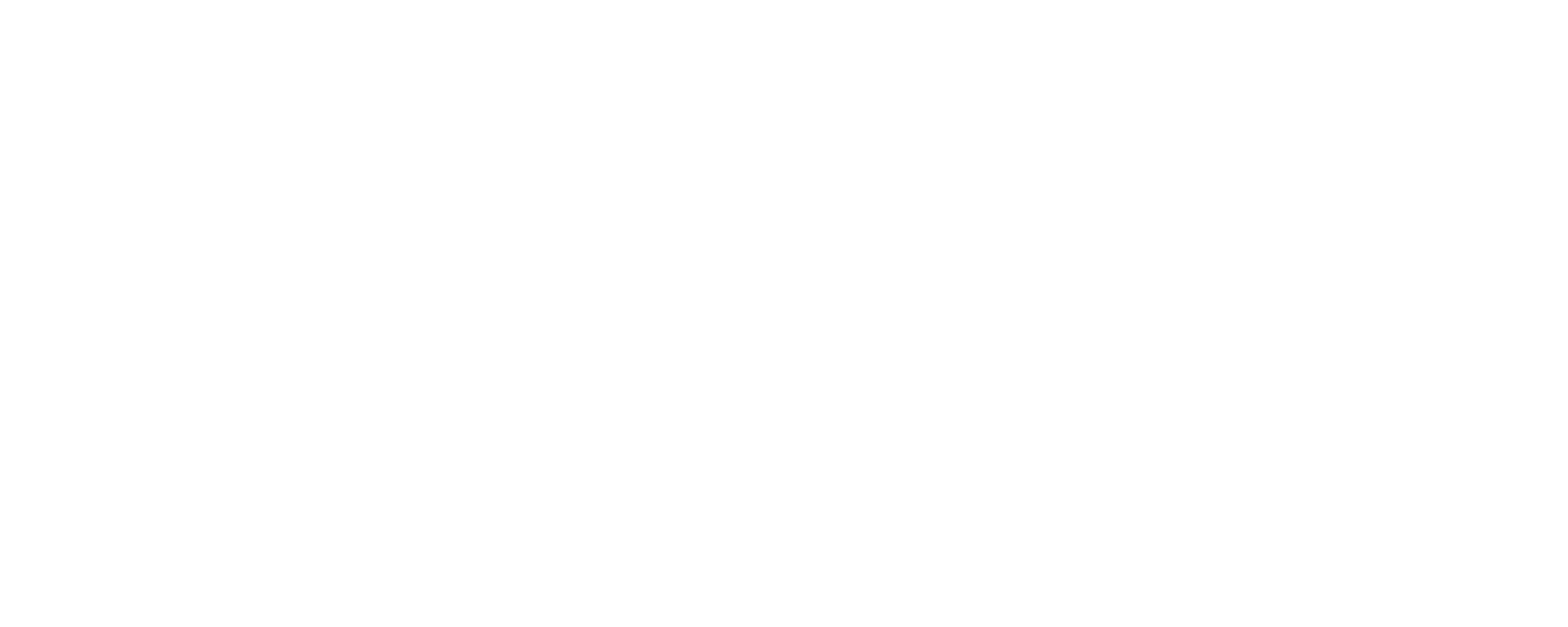 Boston Philharmonic Logo